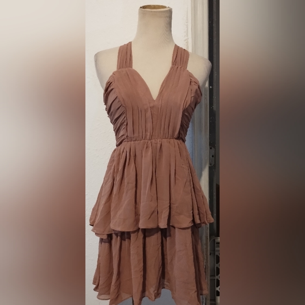 H&M rose sheer dress